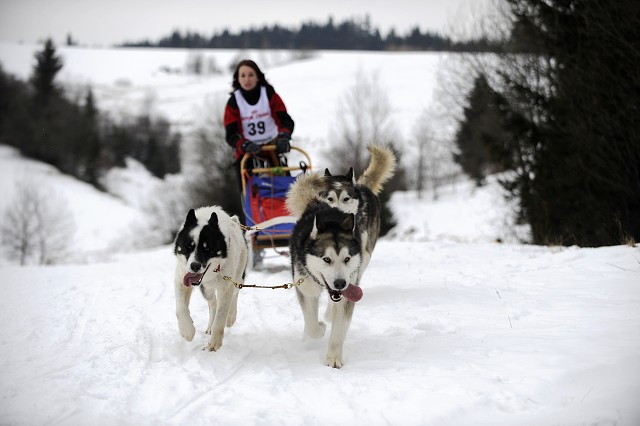 Kynologická revue - www.dogsk.sk