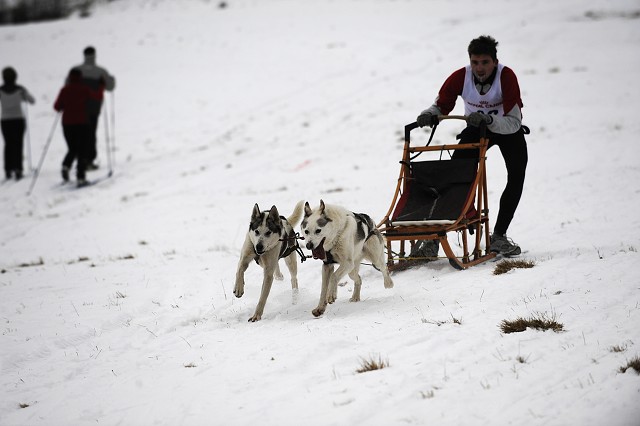 Kynologická revue - www.dogsk.sk