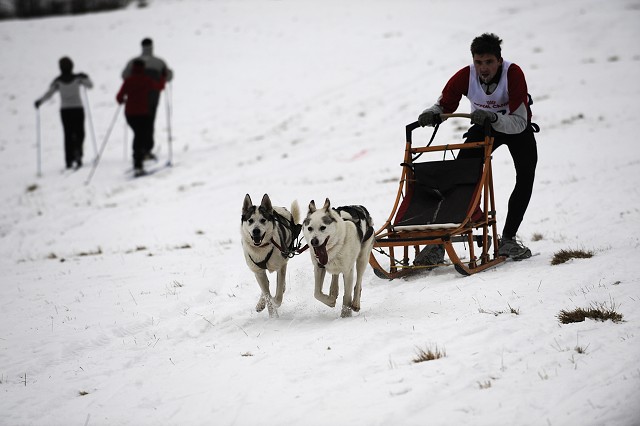 Kynologická revue - www.dogsk.sk