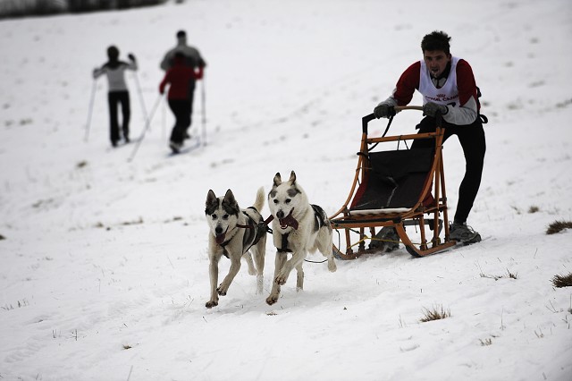 Kynologická revue - www.dogsk.sk
