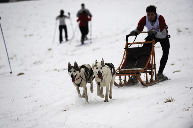 Kynologická revue - www.dogsk.sk
