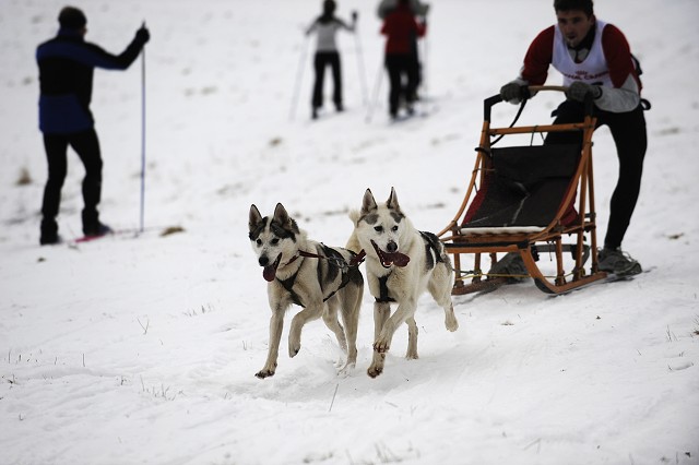 Kynologická revue - www.dogsk.sk