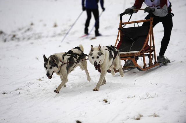 Kynologická revue - www.dogsk.sk