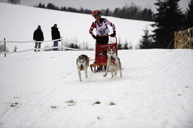 Kynologická revue - www.dogsk.sk
