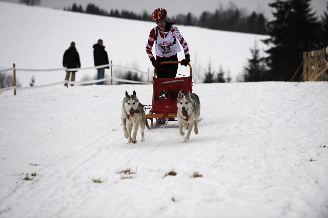 Kynologická revue - www.dogsk.sk