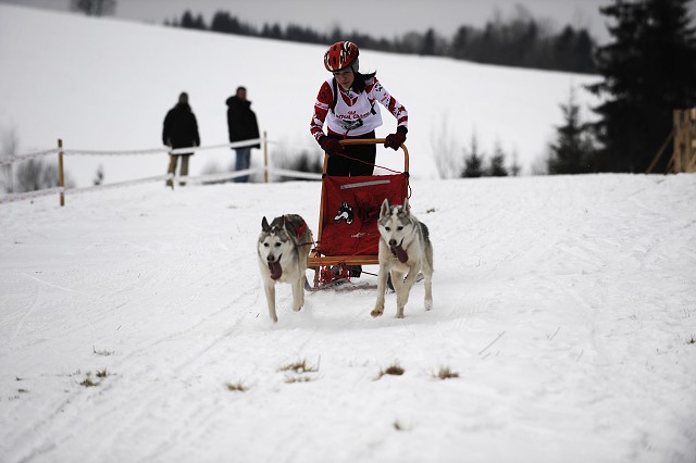Kynologická revue - www.dogsk.sk