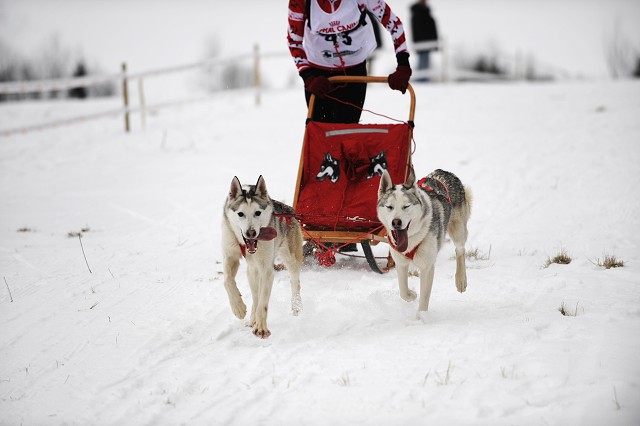 Kynologická revue - www.dogsk.sk