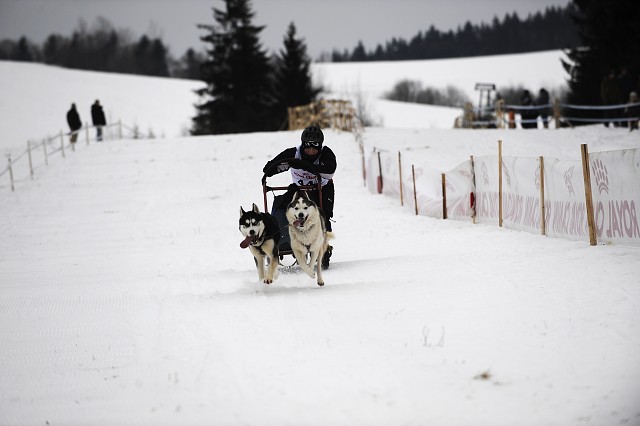 Kynologická revue - www.dogsk.sk