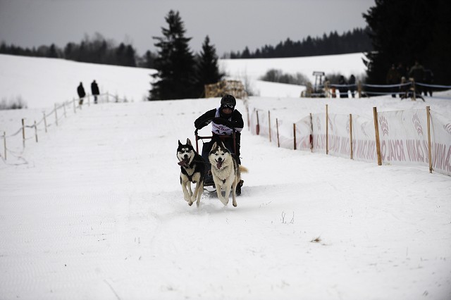 Kynologická revue - www.dogsk.sk