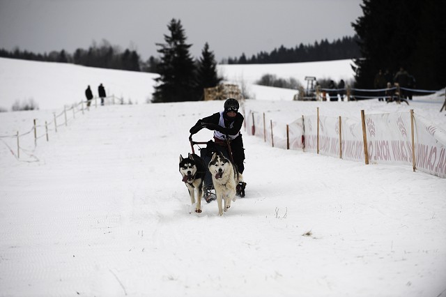 Kynologická revue - www.dogsk.sk