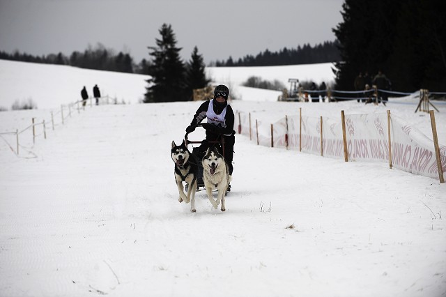 Kynologická revue - www.dogsk.sk
