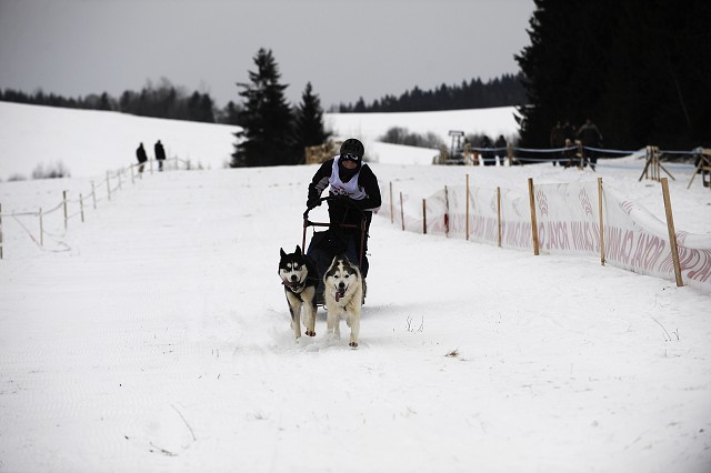 Kynologická revue - www.dogsk.sk