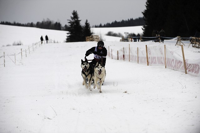 Kynologická revue - www.dogsk.sk