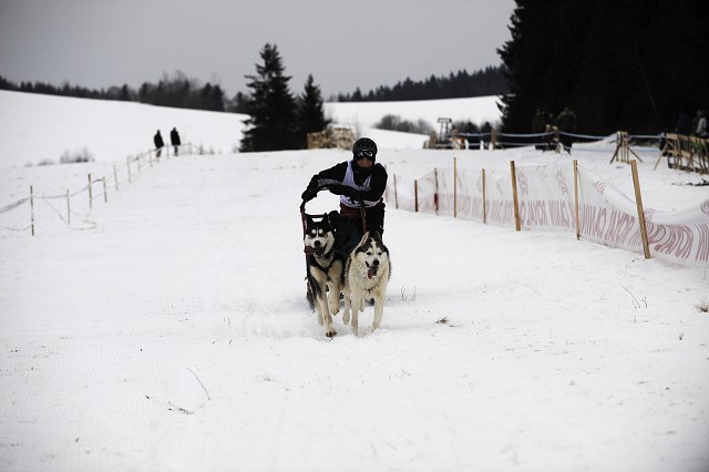 Kynologická revue - www.dogsk.sk
