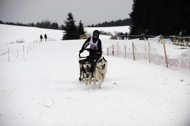 Kynologická revue - www.dogsk.sk