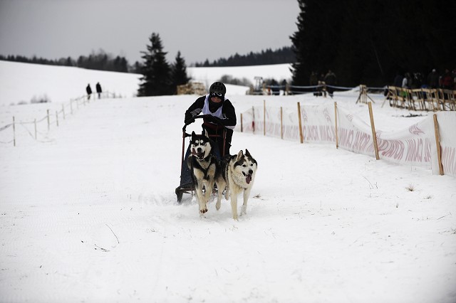 Kynologická revue - www.dogsk.sk