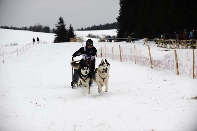 Kynologická revue - www.dogsk.sk