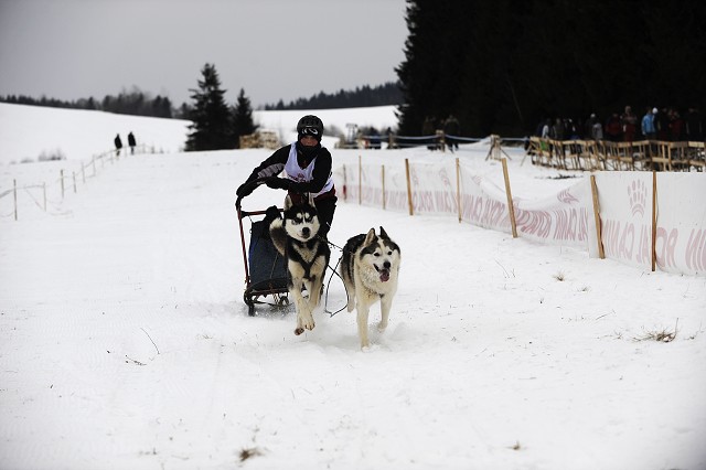 Kynologická revue - www.dogsk.sk
