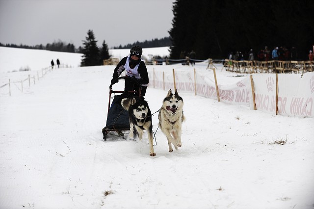 Kynologická revue - www.dogsk.sk