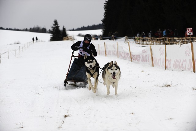 Kynologická revue - www.dogsk.sk