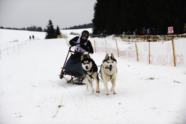 Kynologická revue - www.dogsk.sk