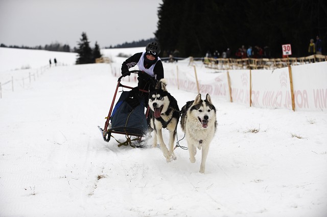 Kynologická revue - www.dogsk.sk