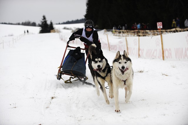 Kynologická revue - www.dogsk.sk