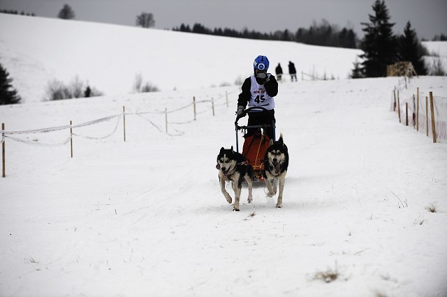 Kynologická revue - www.dogsk.sk