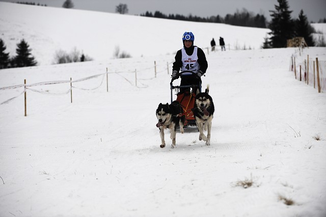 Kynologická revue - www.dogsk.sk