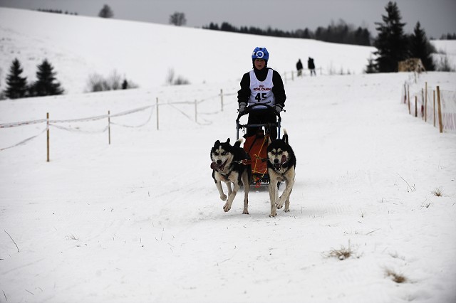 Kynologická revue - www.dogsk.sk