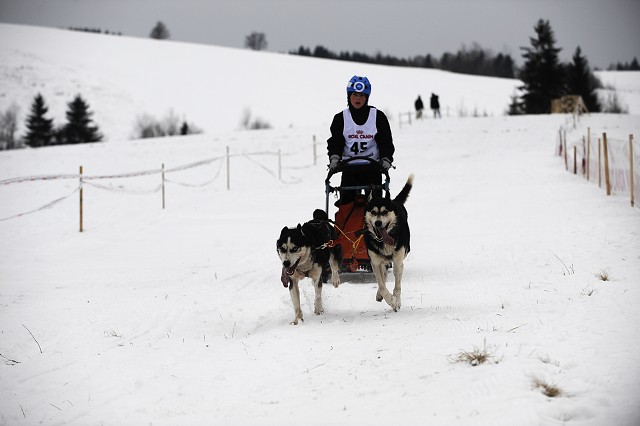 Kynologická revue - www.dogsk.sk