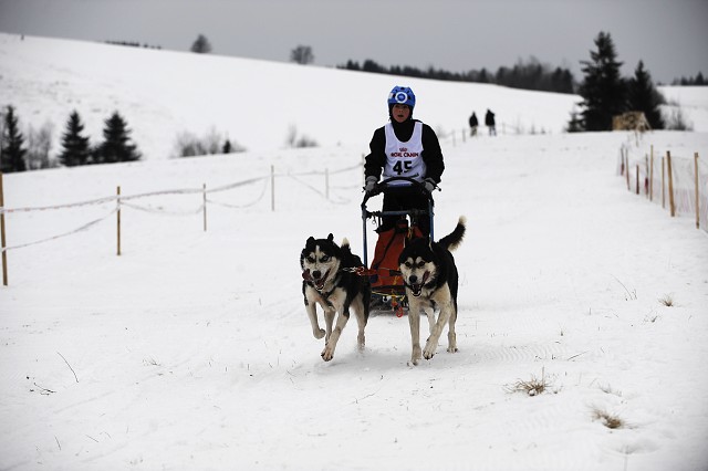 Kynologická revue - www.dogsk.sk