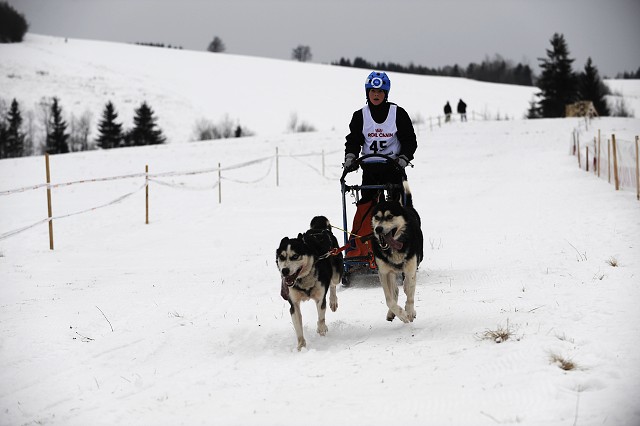 Kynologická revue - www.dogsk.sk