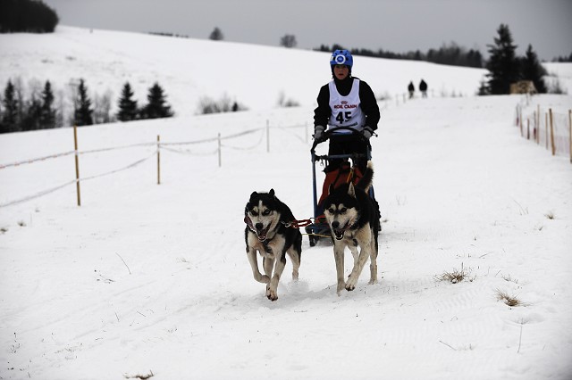 Kynologická revue - www.dogsk.sk