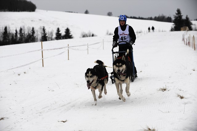 Kynologická revue - www.dogsk.sk