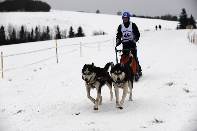 Kynologická revue - www.dogsk.sk