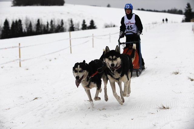 Kynologická revue - www.dogsk.sk