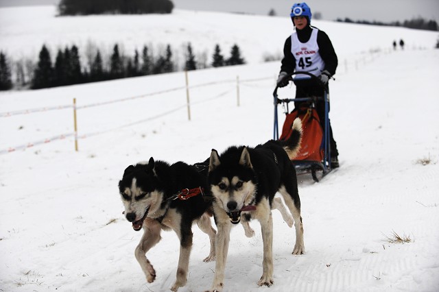Kynologická revue - www.dogsk.sk