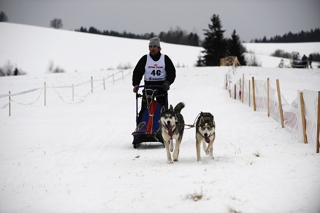 Kynologická revue - www.dogsk.sk