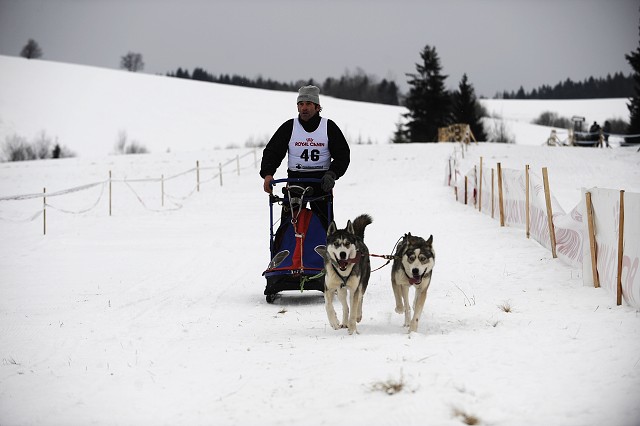 Kynologická revue - www.dogsk.sk