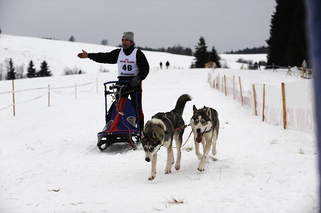 Kynologická revue - www.dogsk.sk