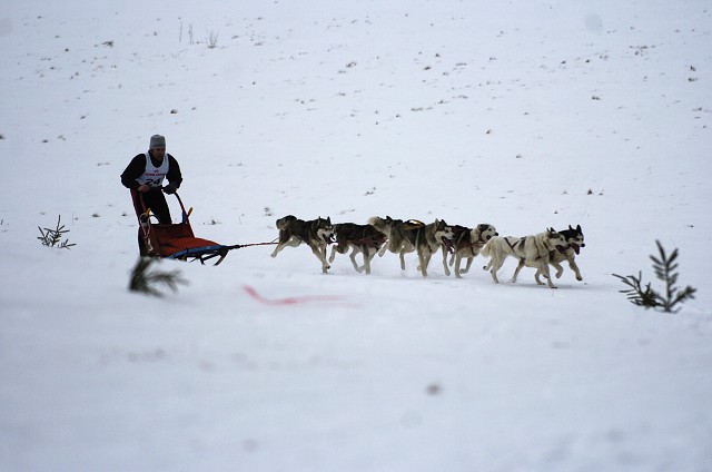 Kynologická revue - www.dogsk.sk