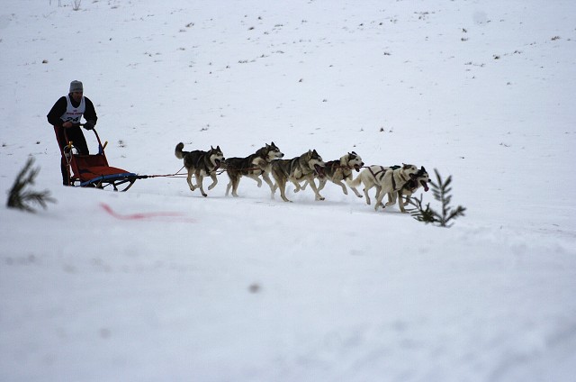 Kynologická revue - www.dogsk.sk