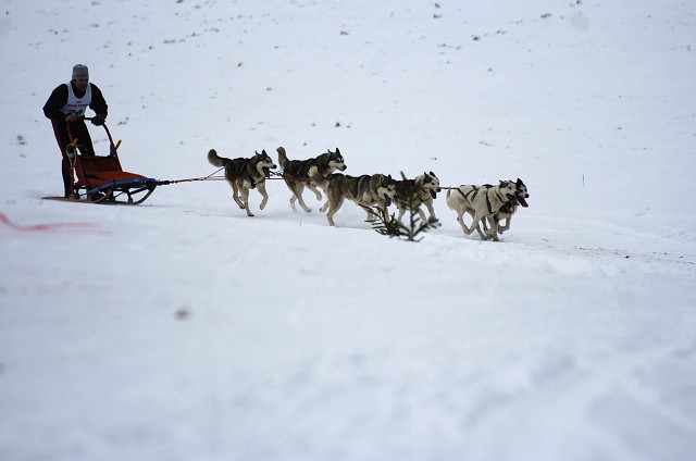 Kynologická revue - www.dogsk.sk
