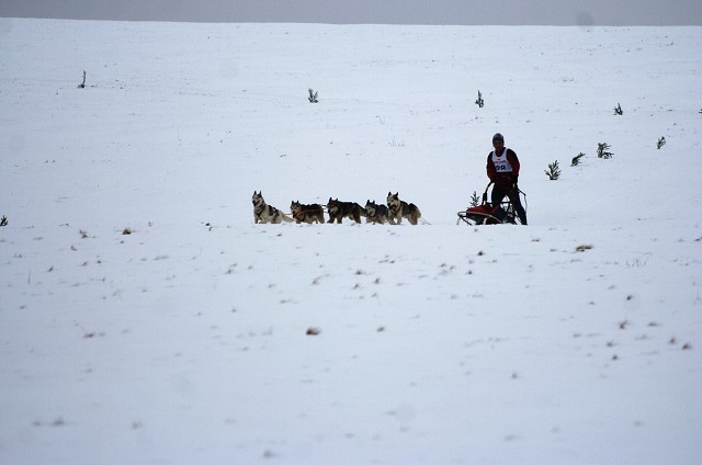 Kynologická revue - www.dogsk.sk