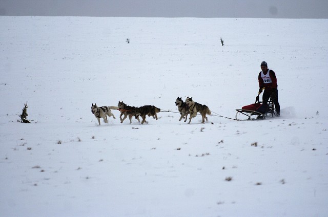 Kynologická revue - www.dogsk.sk