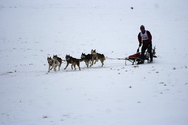 Kynologická revue - www.dogsk.sk