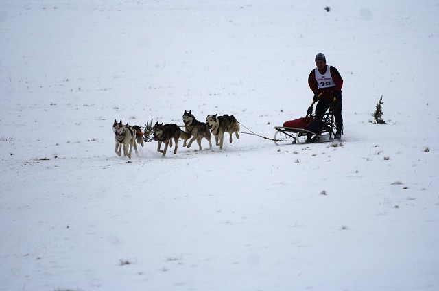 Kynologická revue - www.dogsk.sk
