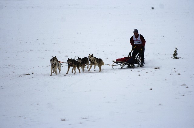 Kynologická revue - www.dogsk.sk