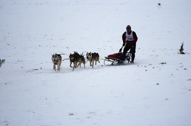 Kynologická revue - www.dogsk.sk